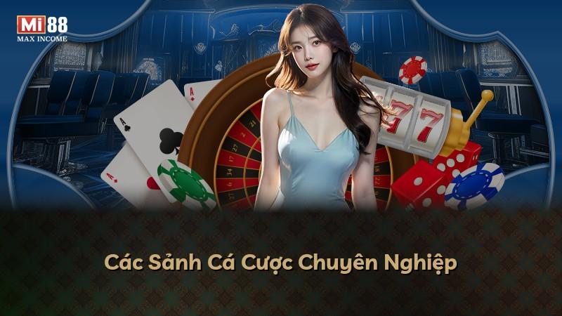 Các Sảnh Cá Cược Chuyên Nghiệp