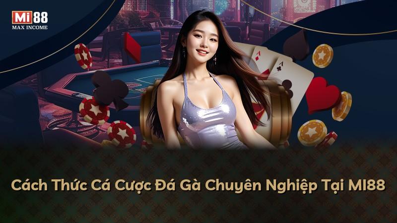 Cách Thức Cá Cược Đá Gà Chuyên Nghiệp Tại MI88