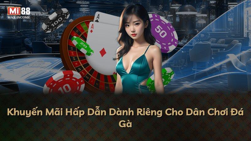 Khuyến Mãi Hấp Dẫn Dành Riêng Cho Dân Chơi Đá Gà
