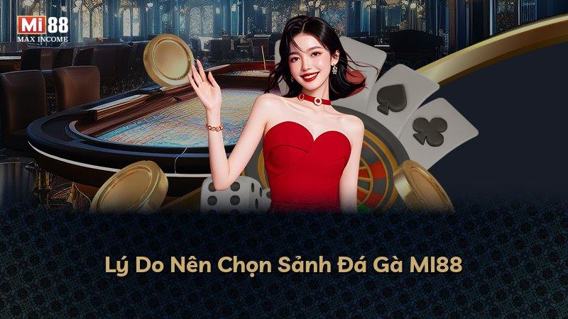 Lý Do Nên Chọn Sảnh Đá Gà MI88