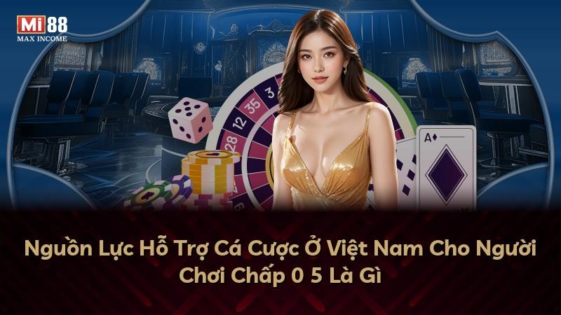 Nguồn Lực Hỗ Trợ Cá Cược Ở Việt Nam Cho Người Chơi Chấp 0 5 Là Gì