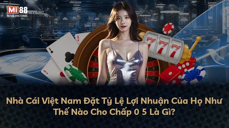 Nhà Cái Việt Nam Đặt Tỷ Lệ Lợi Nhuận Của Họ Như Thế Nào Cho Chấp 0 5 Là Gì?