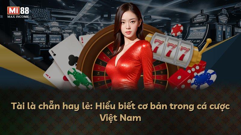 Tài là chẵn hay lẻ: Hiểu biết cơ bản trong cá cược Việt Nam