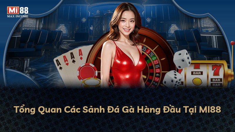 Tổng Quan Các Sảnh Đá Gà Hàng Đầu Tại MI88